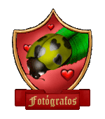 <img:stuff/aj/5555/lovebug1.gif>