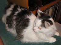 <img200*0:stuff/aj/57/1280948040.jpg>