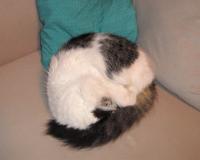 <img200*0:stuff/aj/57/20100911__dsc01320.jpg>