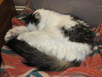 <img200*0:stuff/aj/57/20100913__dsc01325.jpg>
