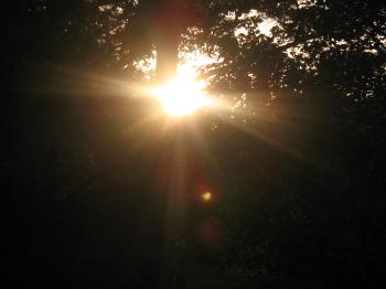 <img350*0:stuff/aj/59031/1306164579.jpg>