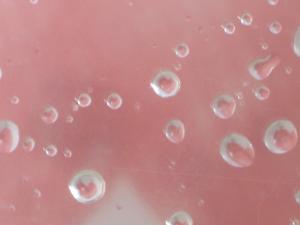 <img300*0:stuff/aj/59031/trialbywater.jpg>