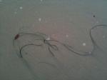 <img150*0:stuff/aj/59938/1278429180.jpg>