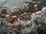 <img150*0:stuff/aj/59938/1278429594.jpg>