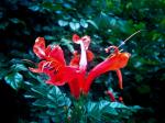 <img150*0:stuff/aj/59938/1281598989.jpg>