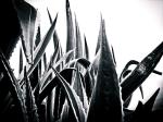 <img150*0:stuff/aj/59938/1281599156.jpg>