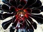 <img150*0:stuff/aj/59938/Midnight%20Blooming.jpg>