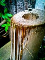 <img150*0:stuff/aj/59938/Peeling.jpg>