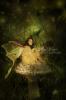 <img0*100:stuff/aj/61513/1233173031.jpg>