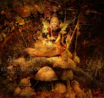 <img0*200:http://elftown.heddate.com/stuff/aj/61513/1235067616.jpg>