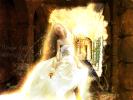 <img0*100:stuff/aj/61513/1235153430.jpg>