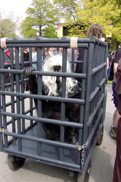 <img500*0:stuff/aj/64684/Captured-Drow.jpg>