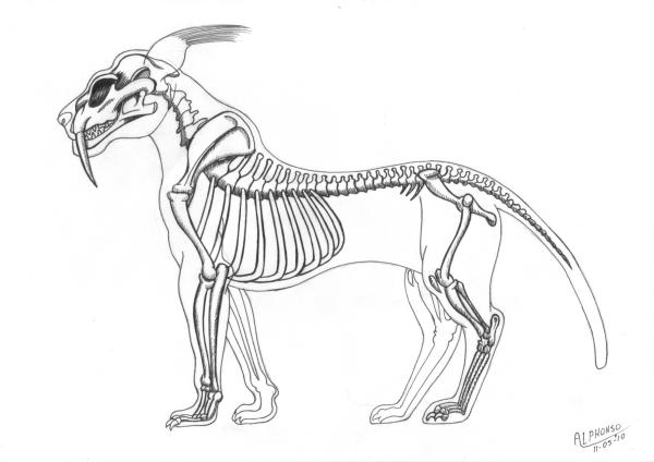 <img600*0:stuff/aj/64684/TaCesRoh-Skeleton.jpg>