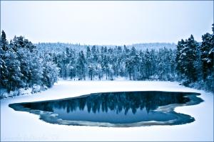 <img300*0:stuff/aj/68076/1262189506.jpg>
