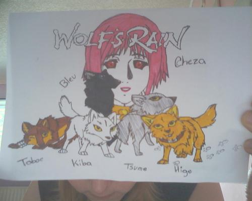 <img500*0:stuff/aj/68675/WolfsRain.amp>