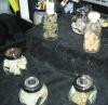 <img100*0:stuff/aj/7148/1250949183.jpg>
