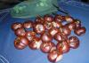 <img100*0:stuff/aj/7148/1250958061.jpg>