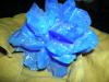 <img100*0:stuff/aj/7148/1251319516.jpg>