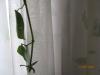 <img100*0:stuff/aj/8511/1238087977.jpg>