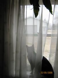 <img200*0:stuff/aj/8511/1238088750.jpg>