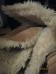 <img56*0:stuff/aj/8511/1238094341.jpg>