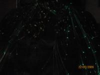 <img200*0:stuff/aj/8511/1238094648.jpg>