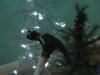 <img100*0:stuff/aj/87488/1230391347.jpg>