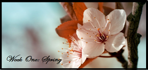 <img300*0:stuff/aj/87488/1238755069.png>