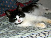 <img200*0:stuff/aj/88645/1274410546.jpg>