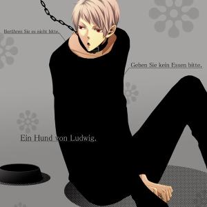 <img300*0:stuff/aj/88645/1354522328.jpg>