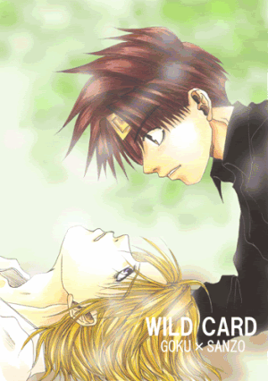 <img300*0:stuff/aj/88645/1354595725.gif>
