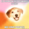 <img0*100:stuff/aj/91017/1369099460.jpg>