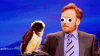 <img100*0:stuff/aj/91017/1416920944.gif>