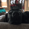 <img100*0:stuff/aj/91017/1416929916.gif>