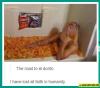 <img100*0:stuff/aj/91017/1421384377.jpg>