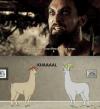 <img100*0:stuff/aj/91017/1421428848.jpg>