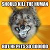 <img100*0:stuff/aj/91017/1421433564.jpg>
