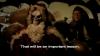 <img100*0:stuff/aj/91017/1424091688.jpg>