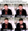 <img100*0:stuff/aj/91017/1424187747.png>