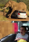<img100*0:stuff/aj/91017/1427132521.png>