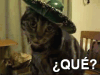 <img100*0:stuff/aj/91017/1428549959.gif>