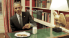 <img100*0:stuff/aj/91017/1428852535.gif>