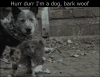 <img100*0:stuff/aj/91017/1433599951.gif>