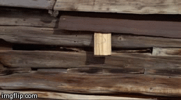 <img:stuff/aj/91017/1435404827.gif>