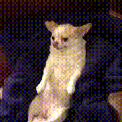 <img:stuff/aj/91017/1461683357.gif>