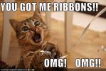 <img0*100:stuff/aj/91017/pillowlolcat.jpg>