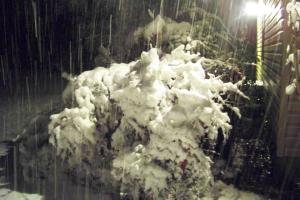 <img300*0:http://elftown.heddate.com/stuff/aj/92105/1421349320.jpg>