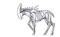 <img200*0:stuff/aj/92267/1348715262.jpg>