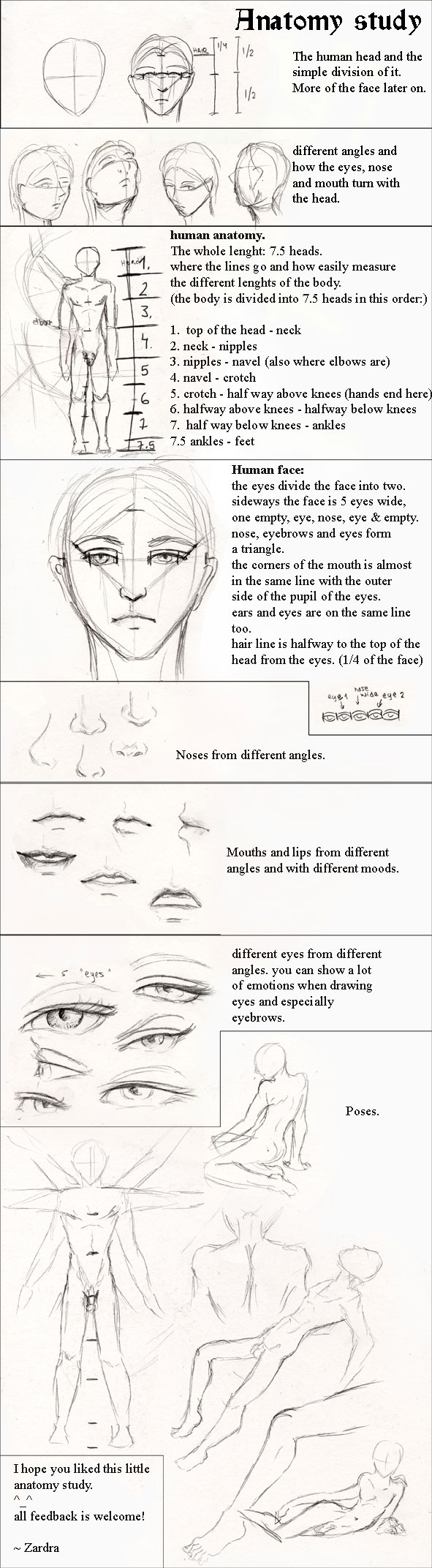 <img:stuff/anatomystudytutorial.jpg>