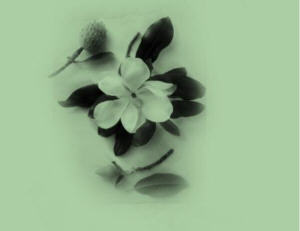 <img:http://elftown.heddate.com/stuff/angel_flower.jpg>